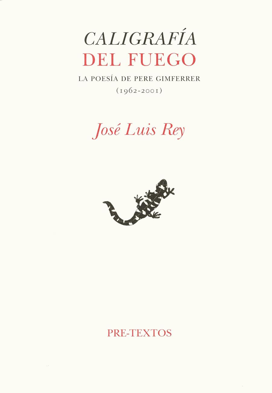 CALIGRAFIA DEL FUEGO: LA POESIA DE PERE GIMFERRER 1962-2001 | 9788481917123 | REY, JOSE LUIS