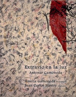 EXTRAVIO EN LA LUZ | 9788486760847 | GAMONEDA, ANTONIO