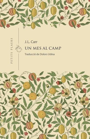 MES AL CAMP, UN  | 9788419474766 | CARR, J. L.
