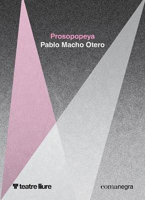 PROSOPOPEYA | 9788410161399 | MACHO OTERO, PABLO