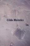 CILDO MEIRELES (CASTELLA) | 9788489771734 | MEIRELES, CILDO