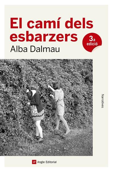 CAMI DELS ESBARZERS, EL | 9788417214562 | DALMAU, ALBA