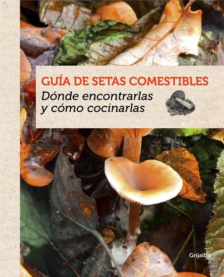 GUIA DE SETAS COMESTIBLES | 9788415989387 | AAVV
