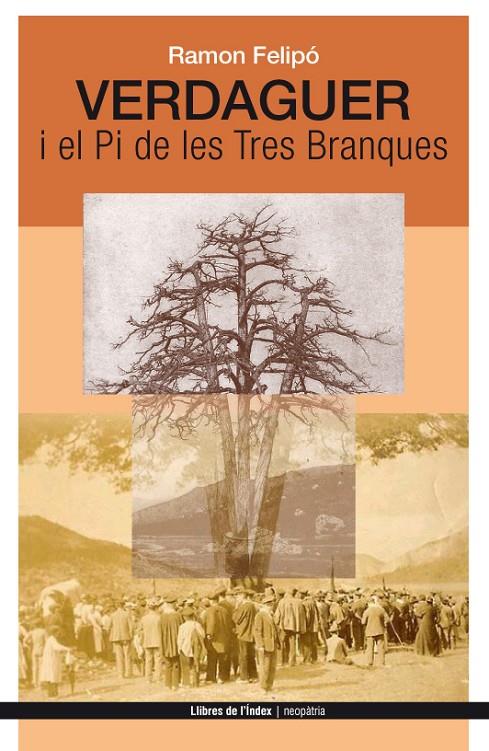 VERDAGUER I EL PI DE LES TRES BRANQUES | 9788494288920 | FELIPO, RAMON