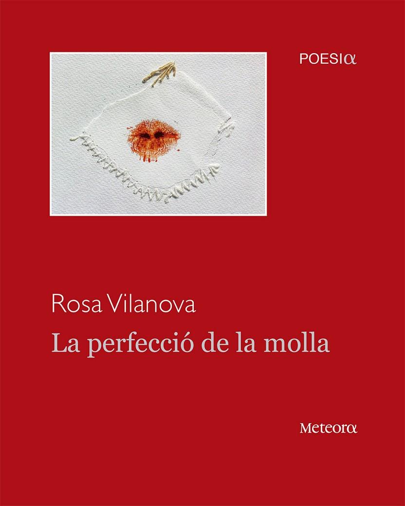 PERFECCIO DE LA MOLLA, LA | 9788494362941 | VILANOVA, ROSA