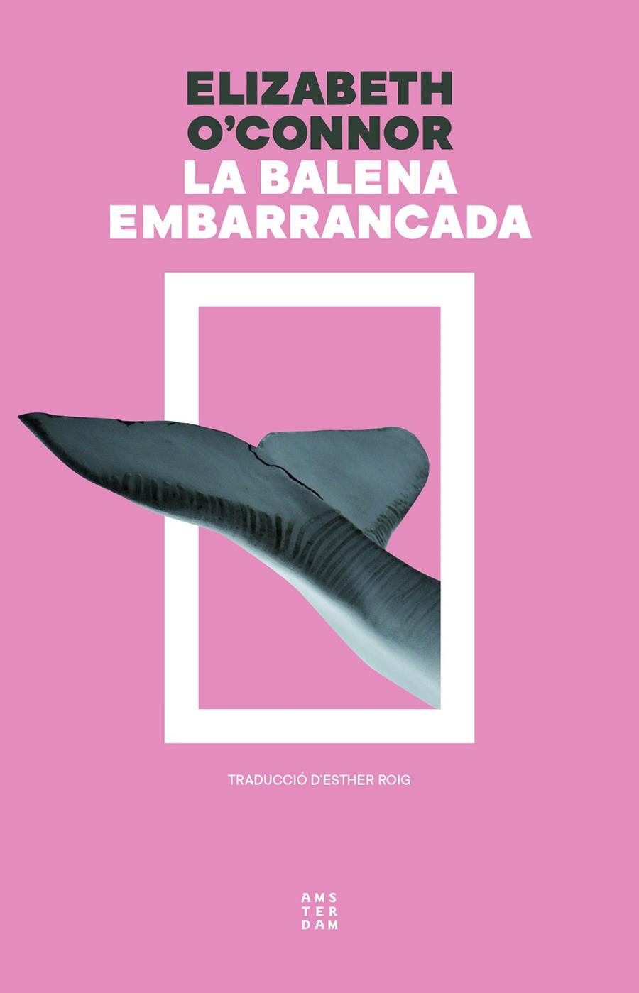 BALENA EMBARRANCADA, LA  | 9788419960313 | O'CONNOR, ELIZABETH