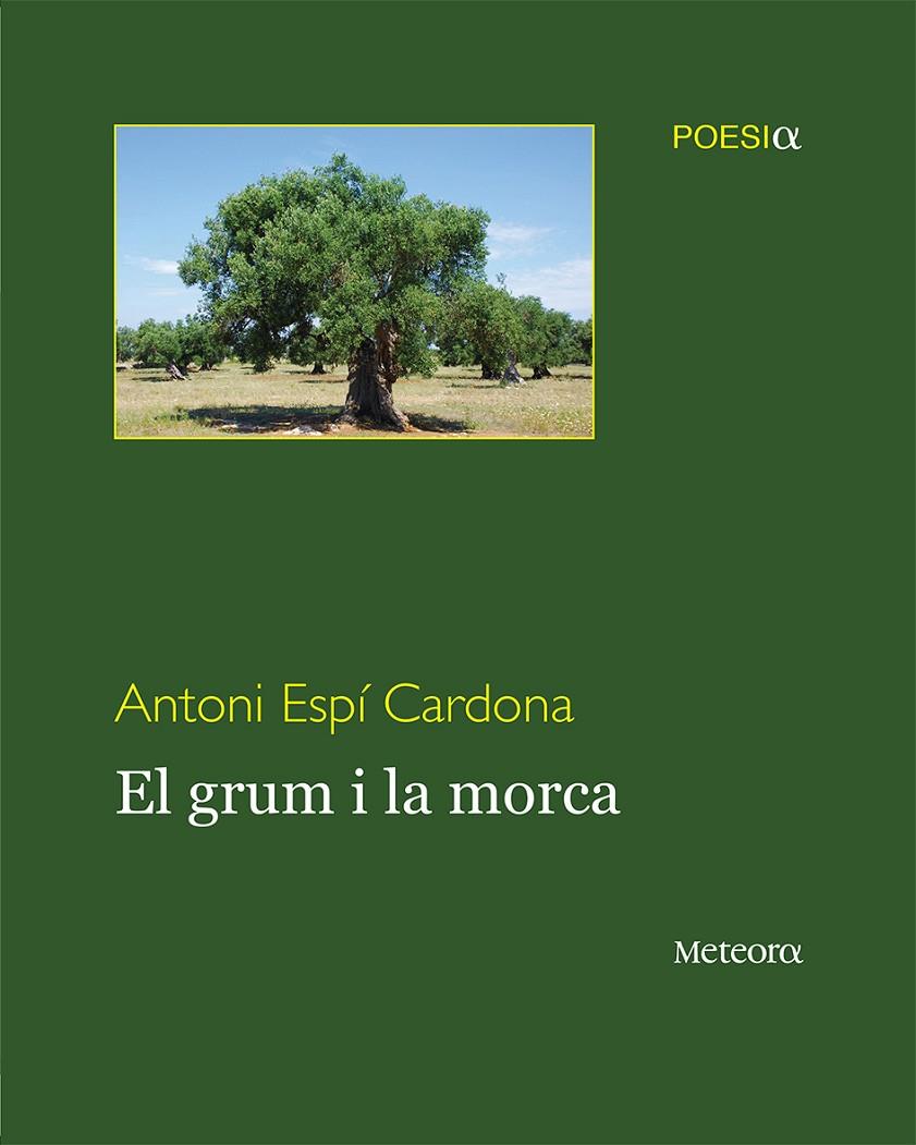 GRUM I LA MORCA, EL | 9788492874910 | ESPI CARDONA, ANTONI