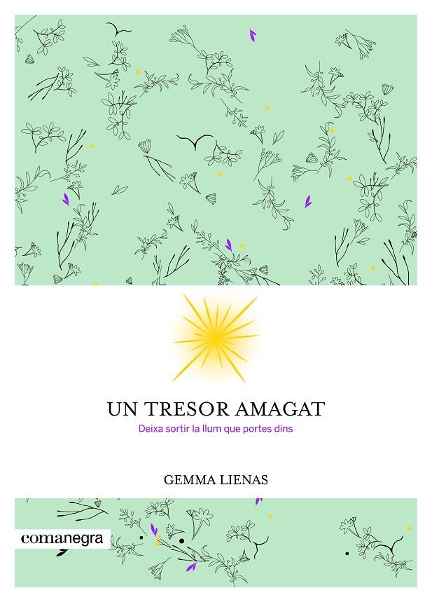 TRESOR AMAGAT, UN | 9788416605347 | LIENAS, GEMMA