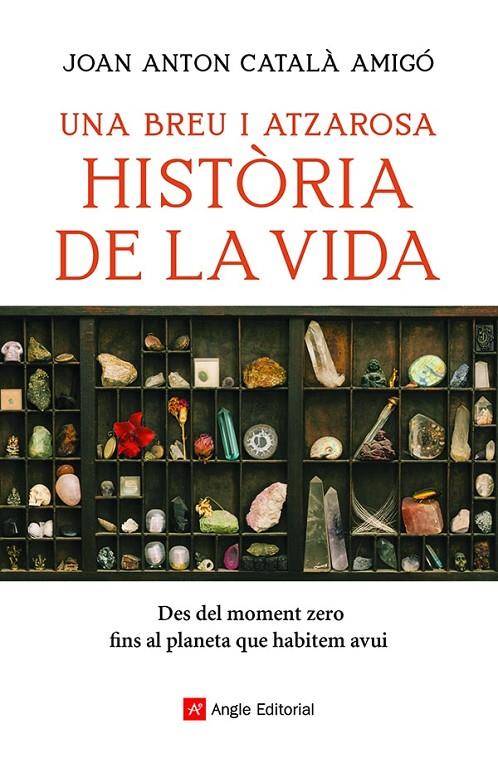 BREU I ATZAROSA HISTÒRIA DE LA VIDA, UNA | 9788418197956 | CATALÀ AMIGÓ, JOAN ANTON
