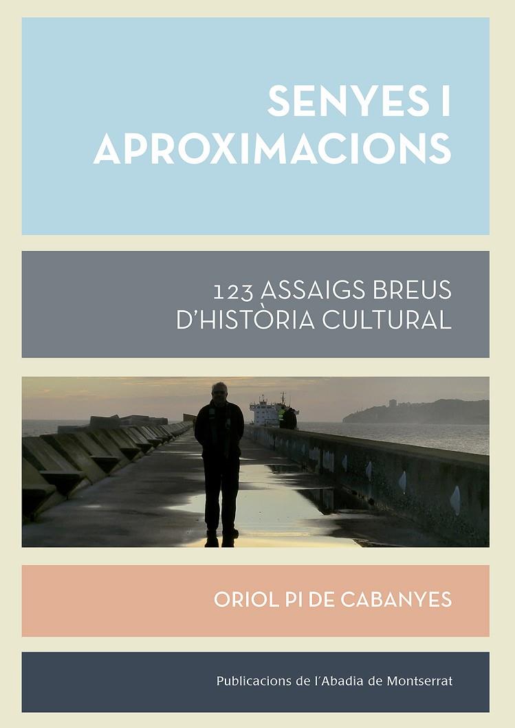 SENYES I APROXIMACIONS. 123 ASSAIGS BREUS D' HISTORIA CULTURAL | 9788491910312 | PI DE CABANYES, ORIOL
