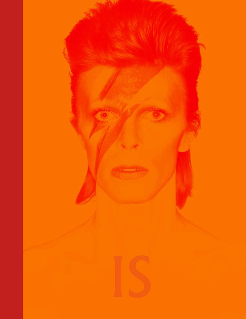 DAVID BOWIE IS INSIDE | 9788416665624 | BROACKES, VICTORIA