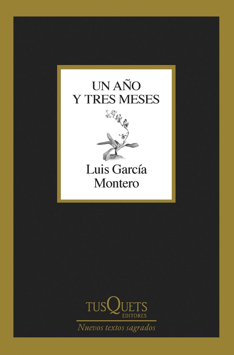 AÑO Y TRES MESES, UN  | 9788411071475 | GARCÍA MONTERO, LUIS
