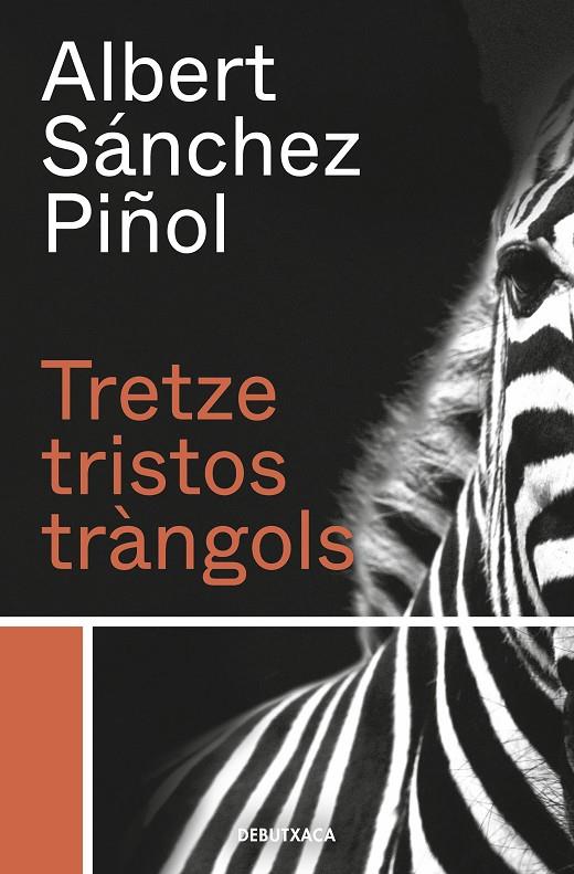 TRETZE TRISTOS TRANGOLS | 9788418132384 | SANCHEZ PIÑOL, ALBERT