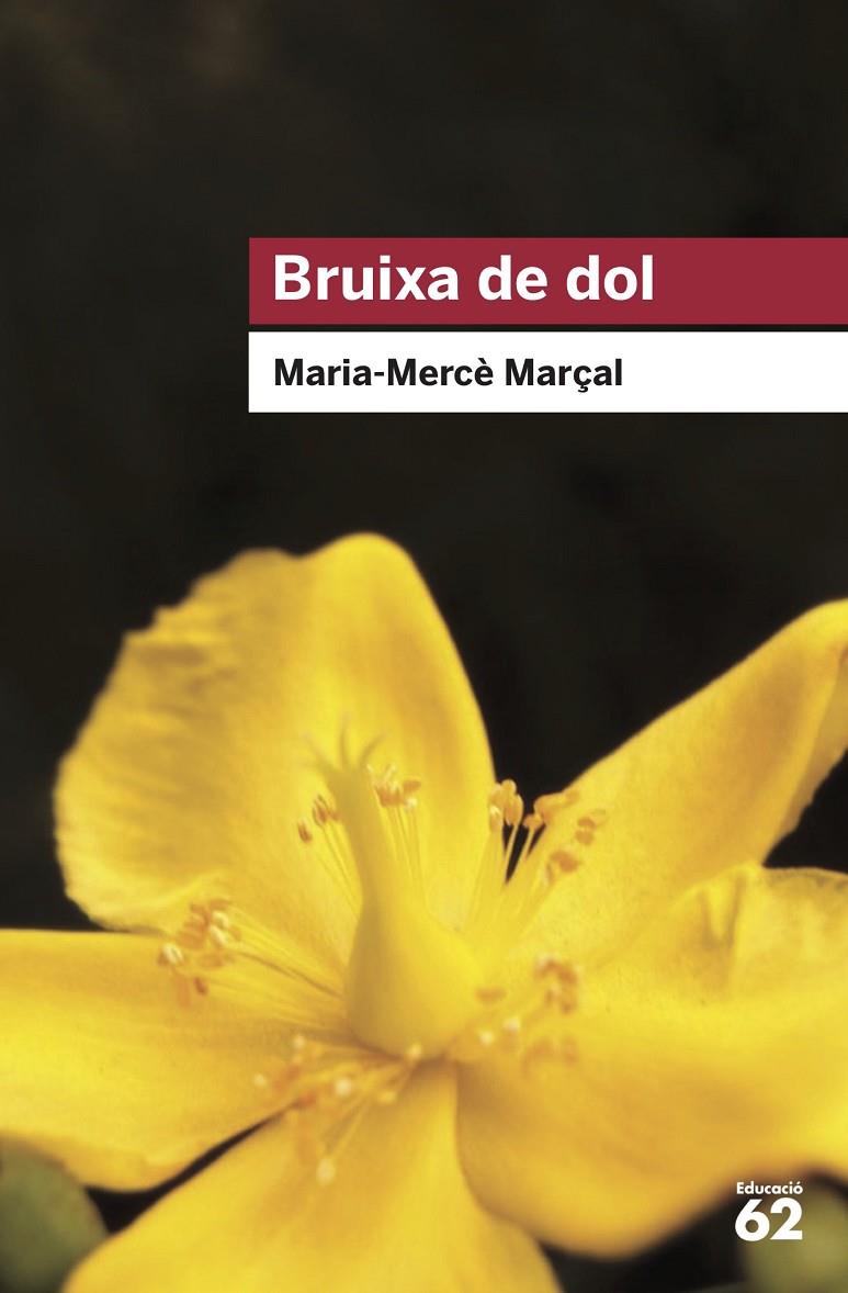 BRUIXA DE DOL | 9788415954736 | MARÇAL, MARIA-MERCE