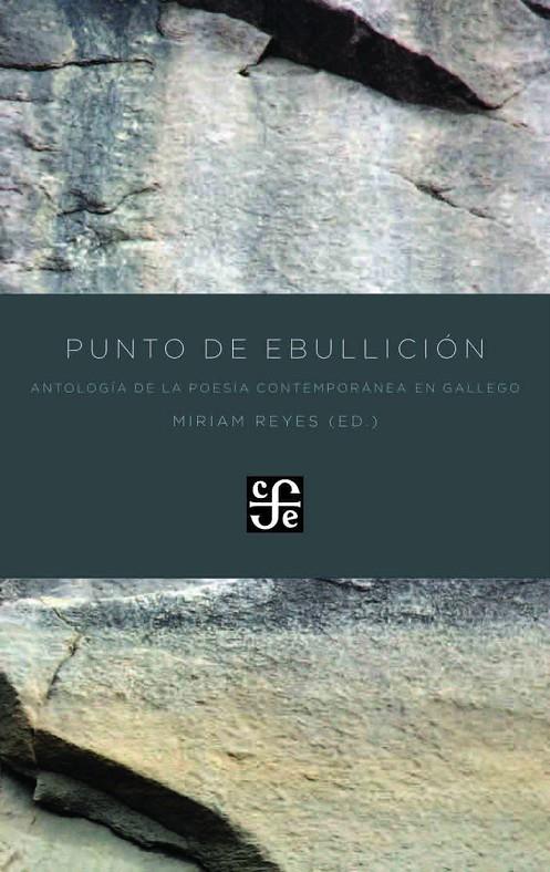 PUNTO DE EBULLICION: ANTOLOGIA DE LA POESIA CONTEMPORANEA EN GALLEGO | 9788437507262 | REYES, MIRIAM (ED.)