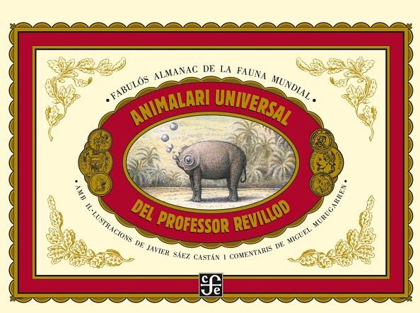 ANIMALARI UNIVERSAL DEL PROFESSOR REVILLOD: ALMANAC IL·LUSTRAT DE LA FAUNA MUNDIAL | 9788437506982 | MURUGARREN, MIGUEL, SAEZ, JAVIER
