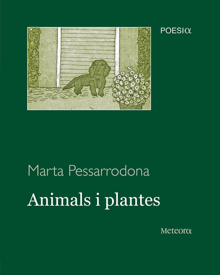 ANIMALS I PLANTES | 9788495623973 | PESSARRODONA, MARTA
