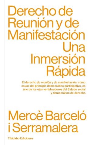 DERECHO DE REUNION Y DE MANIFESTACION | 9788413475806 | BARCELO I SERRAMALERA, MERCE