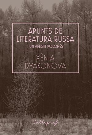 APUNTS DE LITERATURA RUSSA I UN AFEGIT POLONES | 9788412212358 | DYAKONOVA, XENIA