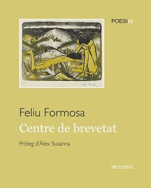 CENTRE DE BREVETAT | 9788412293050 | FORMOSA, FELIU