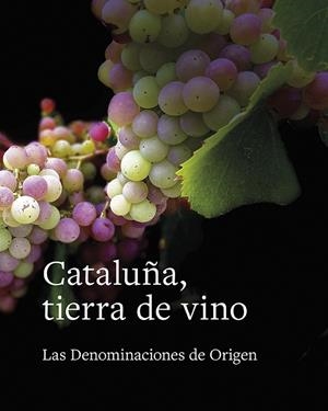 CATALUÑA, TIERRA DE VINO | 9788416445622 | AAVV