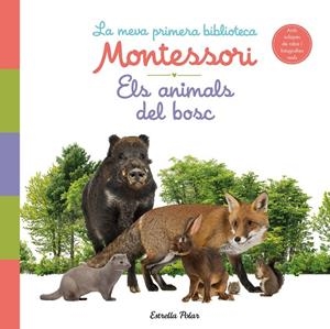 ANIMALS DEL BOSC, ELS. LA MEVA PRIMERA BIBLIOTECA MONTESSORI | 9788413890159 | AAVV