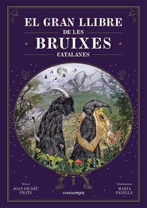 GRAN LLIBRE DE LES BRUIXES CATALANES, EL  | 9788418857751 | PRATS, JOAN DE DÉU / PADILLA, MARIA