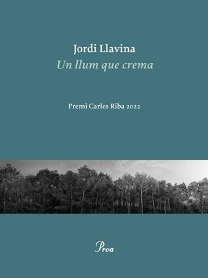 LLUM QUE CREMA, UN  | 9788475889979 | LLAVINA, JORDI