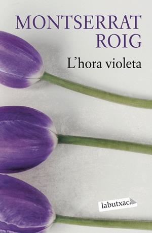 HORA VIOLETA, L' | 9788419107503 | ROIG, MONTSERRAT