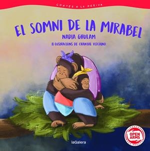CONTES A LA DERIVA 3. EL SOMNI DE LA MIRABEL | 9788424674601 | GHULAM, NADIA / VIZCAINO, CHANTAL