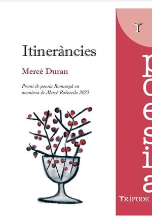 ITINERÀNCIES | 9788412728941 | DURAN, MERCÈ