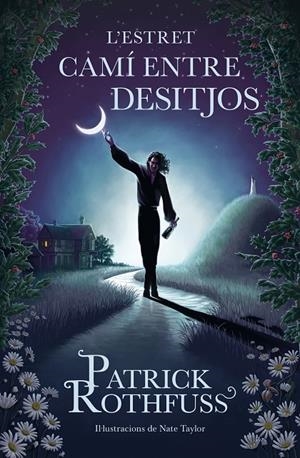 ESTRET CAMÍ ENTRE DESITJOS, L' (CAT) | 9788419259820 | ROTHFUSS, PATRICK