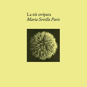 NIT OVÍPARA, LA | 9788412258295 | SEVILLA PARIS, MARIA