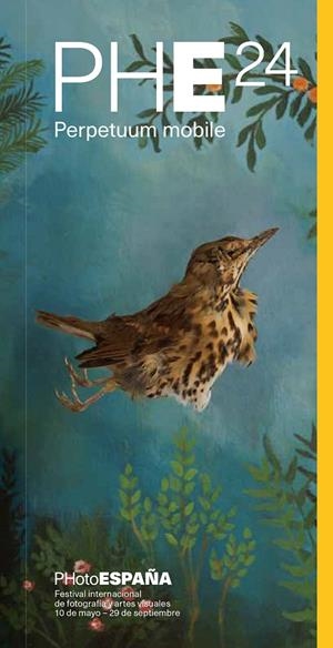 GUÍA PHOTOESPAÑA 2024 | 9788410024359 | AAVV