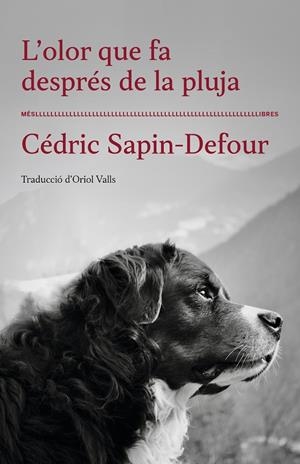 OLOR QUE FA DESPRÉS DE LA PLUJA, L' | 9788417353568 | SAPIN-DEFOUR, CÉDRIC