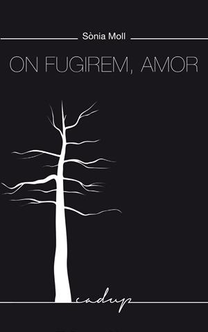 ON FUGIREM, AMOR | 9788412904352 | MOLL, SÒNIA