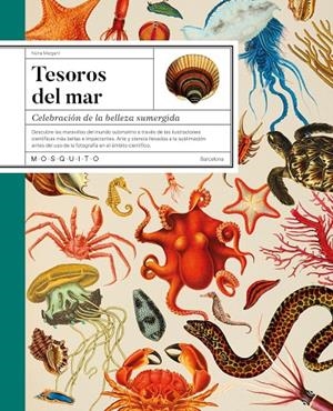TESOROS DEL MAR (CAST) | 9788419095749 | MARGARIT, NÚRIA