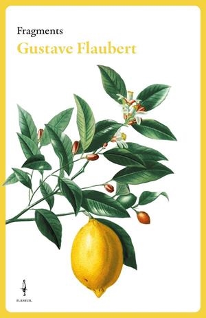 FRAGMENTS | 9788409684007 | FLAUBERT, GUSTAVE