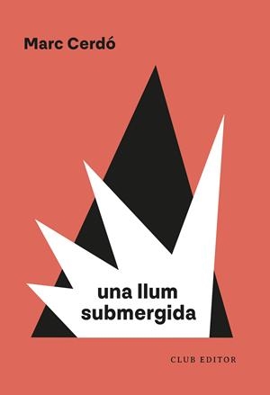 LLUM SUBMERGIDA, UNA | 9788473294751 | CERDÓ, MARC