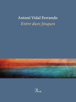 ENTRE DUES FOSQUES | 9788410488434 | VIDAL FERRANDO, ANTONI