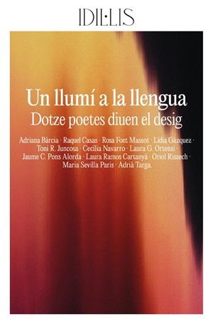 LLUMÍ A LA LLENGUA, UN | 9791399079012 | AAVV