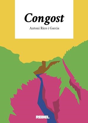 CONGOST | 9788409787340 | RICO I GARCIA, ANTONI