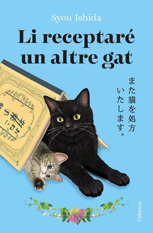 LI RECEPTARÉ UN ALTRE GAT (CAT) | 9788466434973 | ISHIDA, SYOU