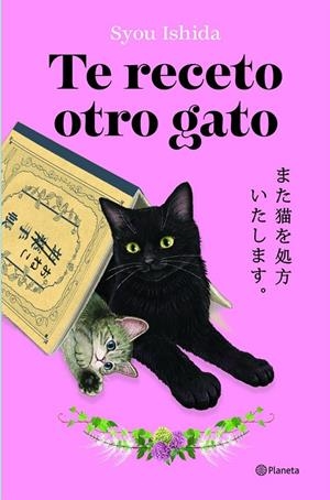 TE RECETO OTRO GATO (CAST) | 9788408318705 | ISHIDA, SYOU