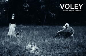 VÓLEY | 9788419539212 | KAPLAN GASMAN, ADOLFO