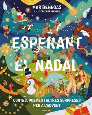 ESPERANT EL NADAL | 9791388358012 | BENEGAS, MAR / IREENENE