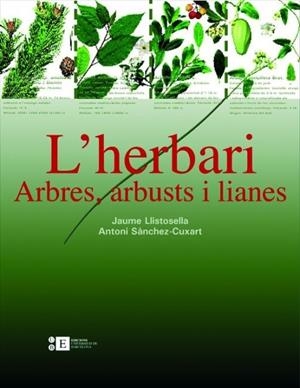HERBARI, ARBRES I ARBUSTS I LIANES | 9788483384220 | LLISTOSELLA, JAUME - SÀNCHEZ-CUXART, ANTONI