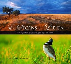 SECANS DE LLEIDA, ELS | 9788483305706 | VIDAL, VIDAL - ESTRADA, JOAN