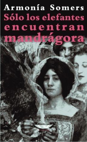 SOLO LOS ELEFANTES ENCUENTRAN MANDRAGORA | 9789871772056 | SOMERS, ARMONIA