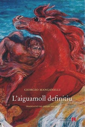 AIGUAMOLL DEFINITIU, L' | 9788494168574 | MANGANELLI, GIORGIO